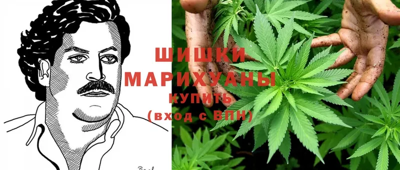 Бошки марихуана LSD WEED  Людиново 